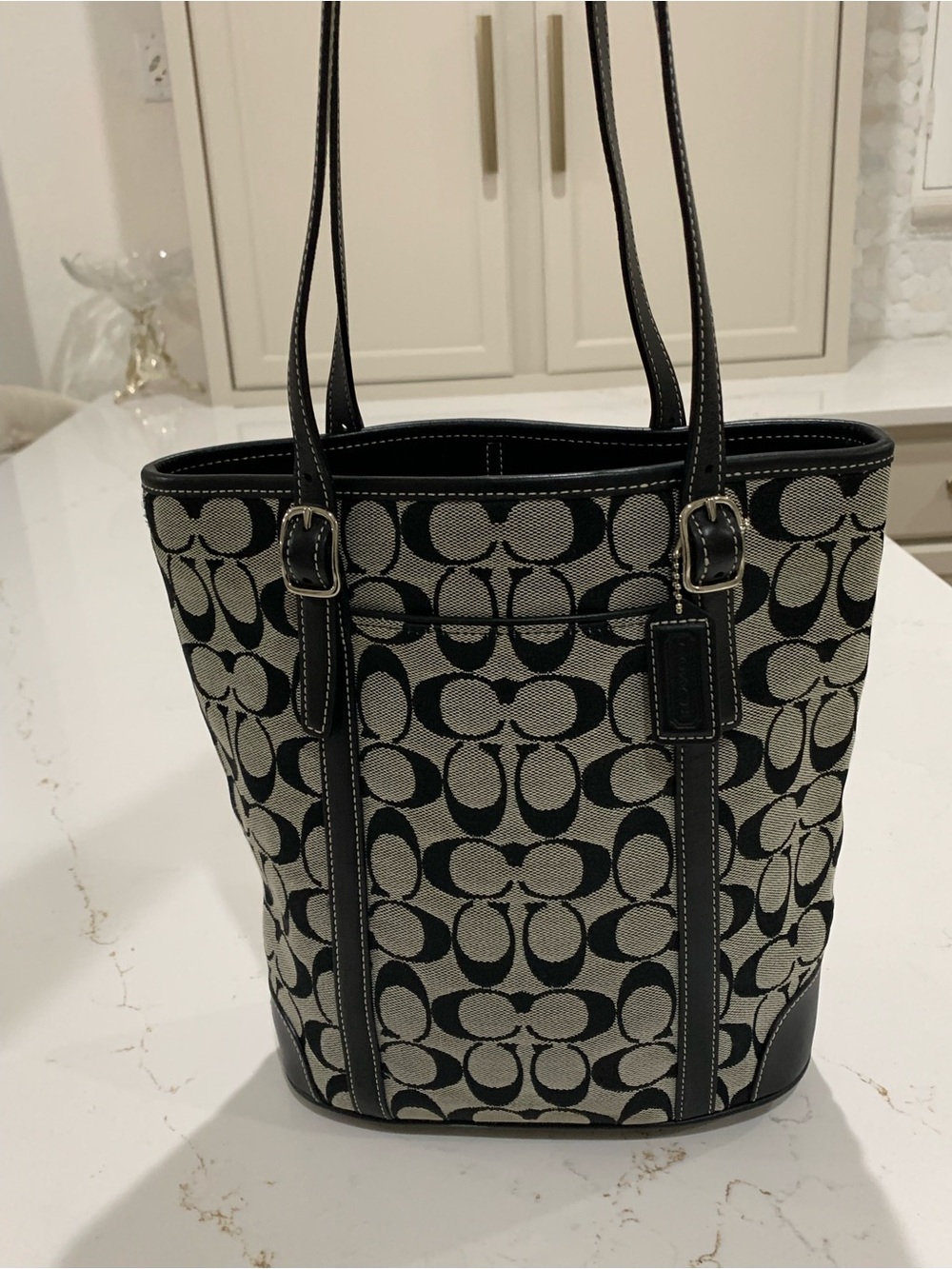 Coach Canvas Tote in Black Hampton Bag